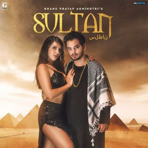 Sultan Bhanu Pratap Agnihotri mp3 song free download, Sultan Bhanu Pratap Agnihotri full album