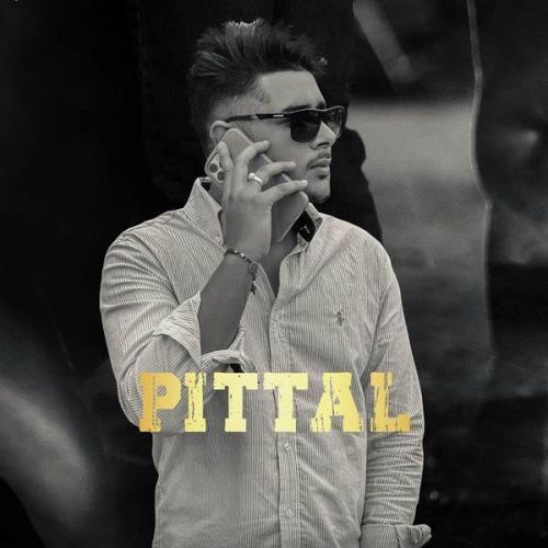 Pittal Laddi Chhajla mp3 song free download, Pittal Laddi Chhajla full album