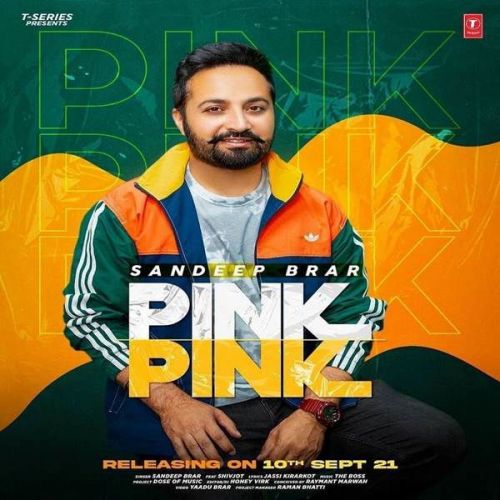 Pink Pink Sandeep Brar mp3 song free download, Pink Pink Sandeep Brar full album