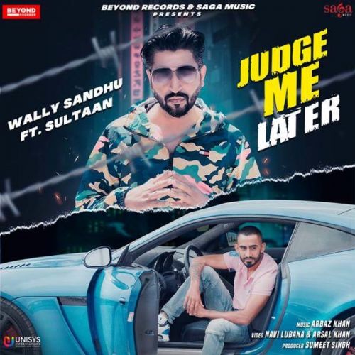 Judge Me Later Sultaan, Wally Sandhu mp3 song free download, Judge Me Later Sultaan, Wally Sandhu full album