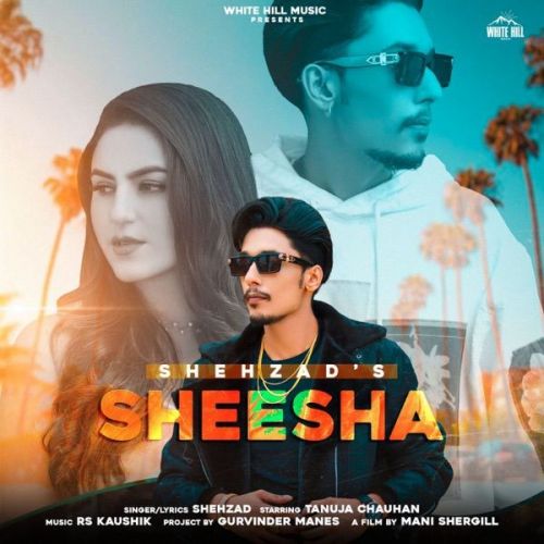 Sheesha Shehzad mp3 song free download, Sheesha Shehzad full album