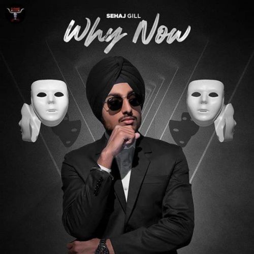 Why Now Sehaj Gill mp3 song free download, Why Now Sehaj Gill full album