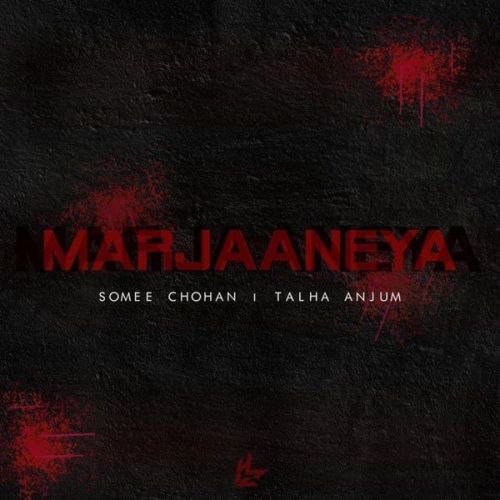 Marjaaneya Somee Chohan, Talha Anjum mp3 song free download, Marjaaneya Somee Chohan, Talha Anjum full album