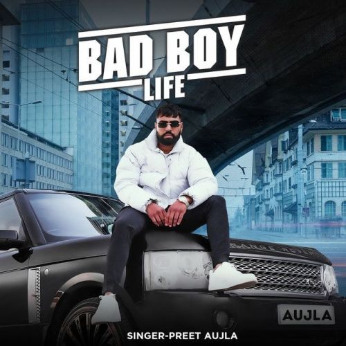 Bad Boy Life Mr Dee, Preet Aujla mp3 song free download, Bad Boy Life Mr Dee, Preet Aujla full album