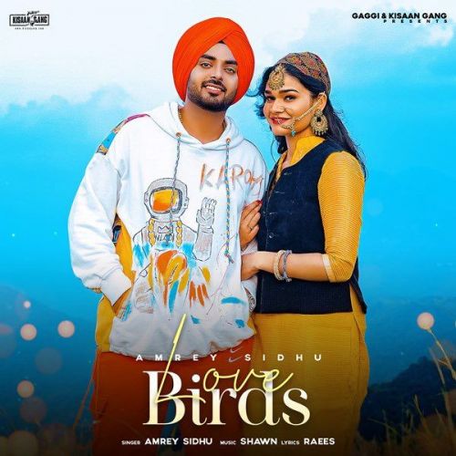 Love Birds Amrey Sidhu mp3 song free download, Love Birds Amrey Sidhu full album