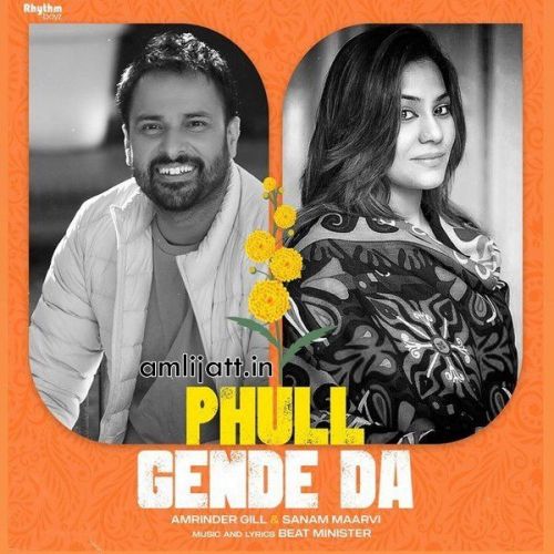 Phull Gende Da Amrinder Gill, Sanam Maarvi mp3 song free download, Phull Gende Da Amrinder Gill, Sanam Maarvi full album