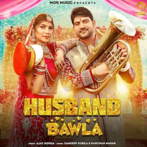 Husband Bawla Sandeep Surila mp3 song free download, Husband Bawla Sandeep Surila full album