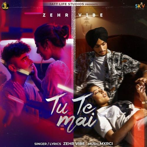 Tu Te Mai Zehr Vibe mp3 song free download, Tu Te Mai Zehr Vibe full album