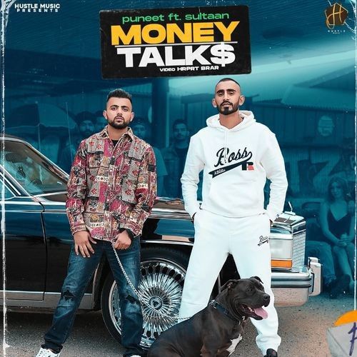 Money Talks Puneet, Sultaan mp3 song free download, Money Talks Puneet, Sultaan full album