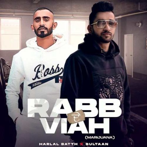 Rabb De Viah Harlal Batth, Sultaan mp3 song free download, Rabb De Viah Harlal Batth, Sultaan full album