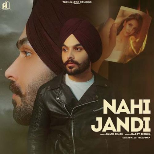 Nahi Jandi David Singh mp3 song free download, Nahi Jandi David Singh full album