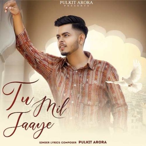 Tu Mil Jaaye Pulkit Arora mp3 song free download, Tu Mil Jaaye Pulkit Arora full album