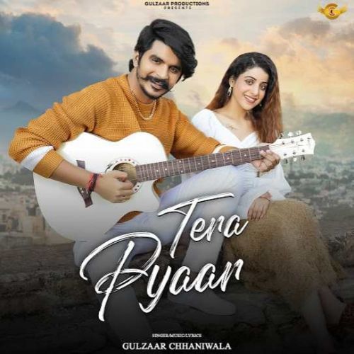 Tera Pyaar Gulzaar Chhaniwala mp3 song free download, Tera Pyaar Gulzaar Chhaniwala full album