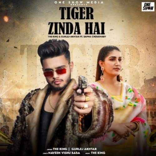 Tiger Zinda Hai The King, Gurlej Akhtar mp3 song free download, Tiger Zinda Hai The King, Gurlej Akhtar full album