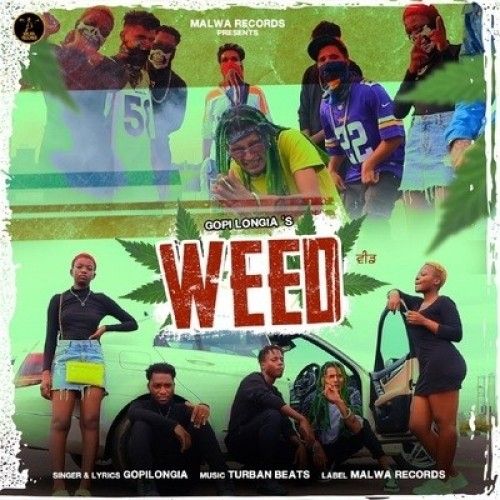 WEED Gopi Longia mp3 song free download, WEED Gopi Longia full album