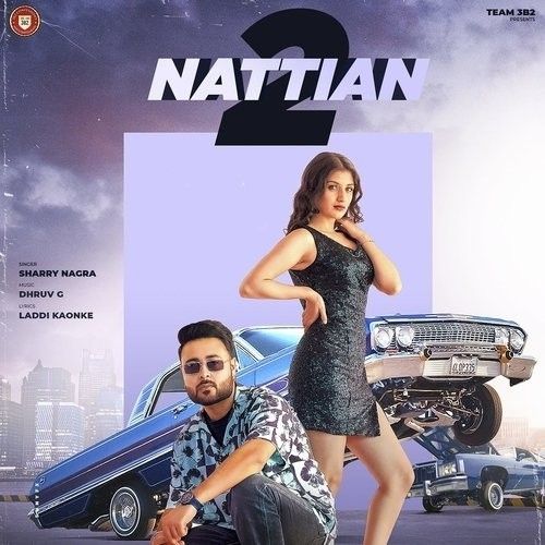 2 Nattian Sharry Nagra mp3 song free download, 2 Nattian Sharry Nagra full album