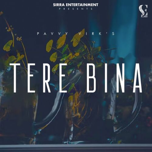 Tere Bina Pavvy Virk mp3 song free download, Tere Bina Pavvy Virk full album