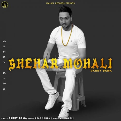 Shehar Mohali Garry Bawa mp3 song free download, Shehar Mohali Garry Bawa full album