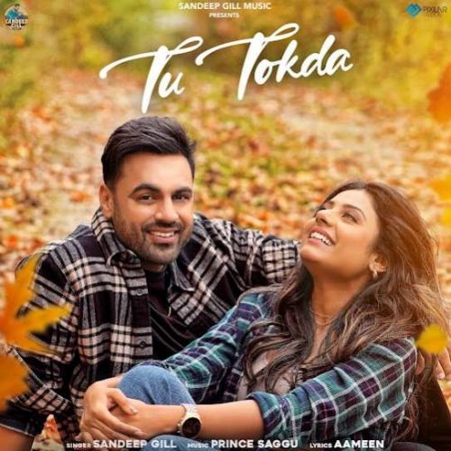 Tu Tokda Sandeep Gill mp3 song free download, Tu Tokda Sandeep Gill full album