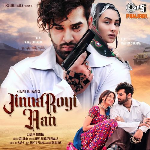 Jinna Royi Aan Ninja mp3 song free download, Jinna Royi Aan Ninja full album