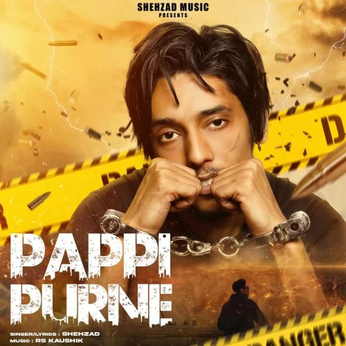 Pappi Purne Shehzad mp3 song free download, Pappi Purne Shehzad full album