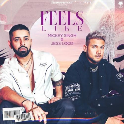 Feels Like Mickey Singh mp3 song free download, Feels Like Mickey Singh full album