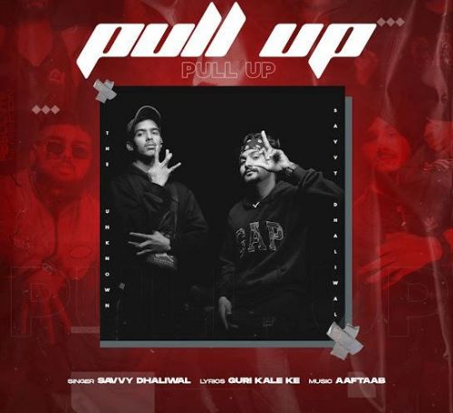 Pull Up Savvy Dhaliwal mp3 song free download, Pull Up Savvy Dhaliwal full album