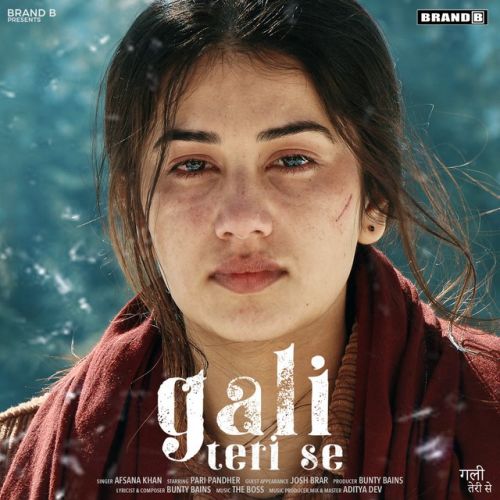 Gali Teri Se Afsana Khan mp3 song free download, Gali Teri Se Afsana Khan full album