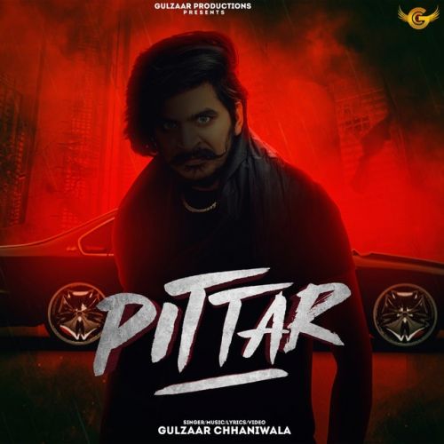 Pittar Gulzaar Chhaniwala mp3 song free download, Pittar Gulzaar Chhaniwala full album