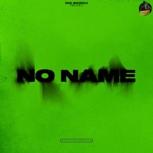 No Name By Sidhu Moose Wala full mp3 album downlad