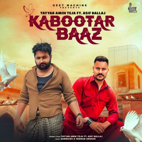 Kabootar Baaz Tayyab Amin Teja mp3 song free download, Kabootar Baaz Tayyab Amin Teja full album