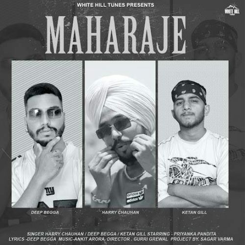 Maharaje Harry Chauhan, Deep Begga, Ketan Gill mp3 song free download, Maharaje Harry Chauhan, Deep Begga, Ketan Gill full album