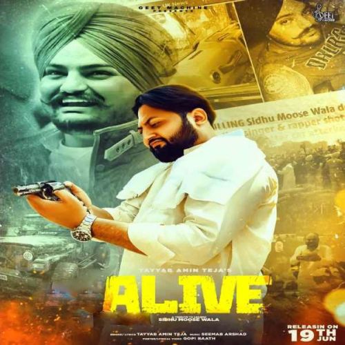 ALive Tayyab Amin Teja mp3 song free download, ALive Tayyab Amin Teja full album