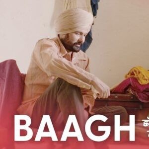 Baagh Amrinder Gill mp3 song free download, Baagh Amrinder Gill full album
