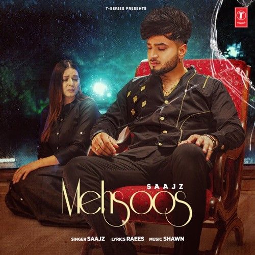 Mehsoos Saajz mp3 song free download, Mehsoos Saajz full album