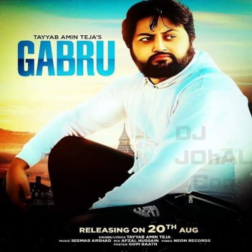 Gabru Tayyab Amin Teja mp3 song free download, Gabru Tayyab Amin Teja full album