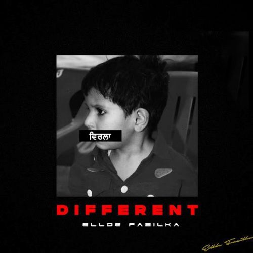 Am Not Sure Ellde Fazilka mp3 song free download, Different (Mix Tape) Ellde Fazilka full album