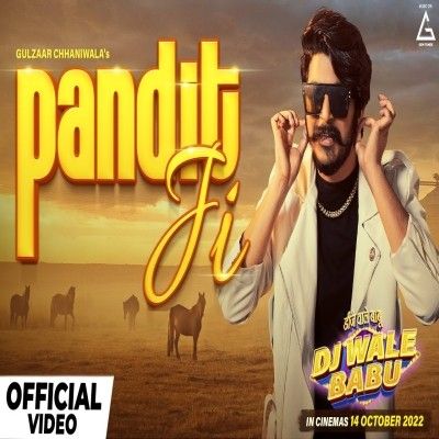 Pandit Ji Gulzaar Chhaniwala mp3 song free download, Pandit Ji Gulzaar Chhaniwala full album