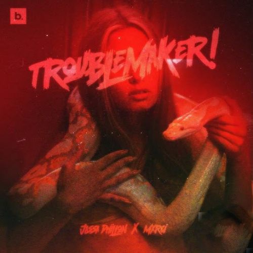 Trouble Maker Jassa Dhillon mp3 song free download, Trouble Maker Jassa Dhillon full album