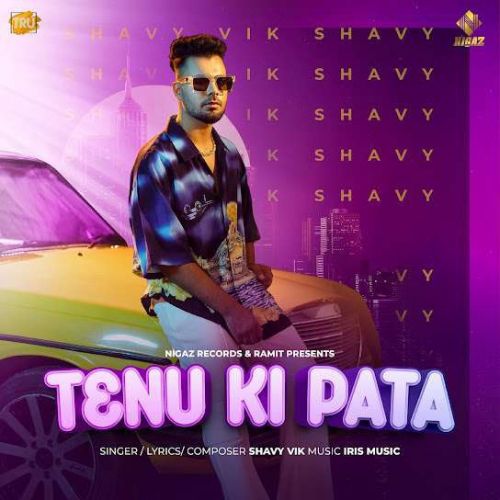 Tenu Ki Pata Shavy Vik mp3 song free download, Tenu Ki Pata Shavy Vik full album