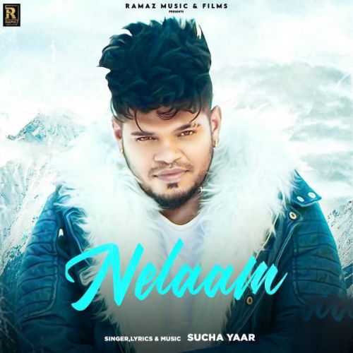 Nelaam Sucha Yaar mp3 song free download, Nelaam Sucha Yaar full album