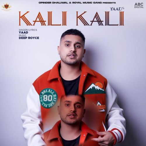 Kali Kali Yaad mp3 song free download, Kali Kali Yaad full album