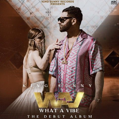 Download WAV (What A Vibe) King Sunny full mp3 album