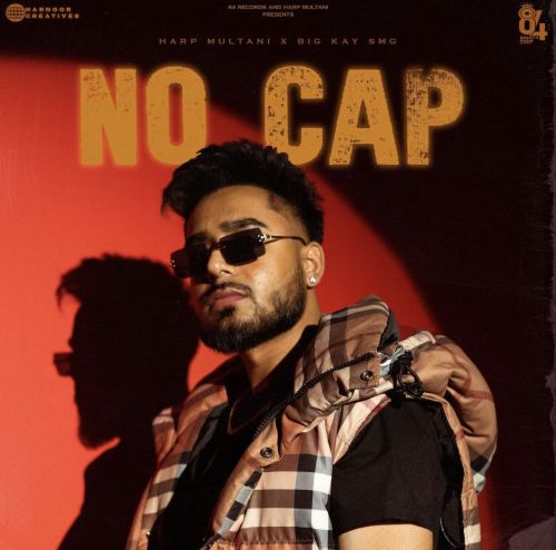 No Cap Harp Multani mp3 song free download, No Cap Harp Multani full album