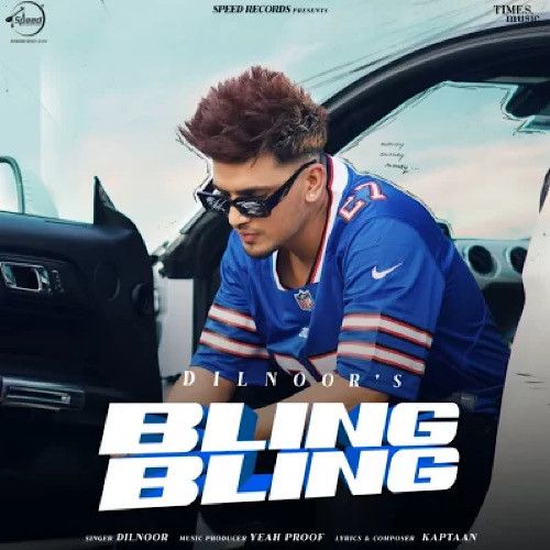 Bling Bling Dilnoor mp3 song free download, Bling Bling Dilnoor full album