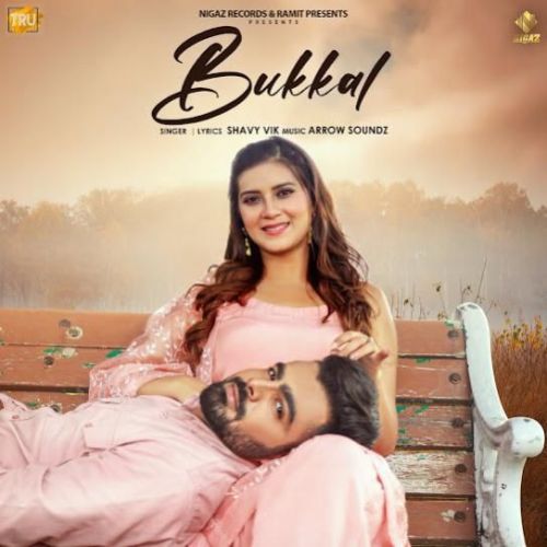 Bukkal Shavy Vik mp3 song free download, Bukkal Shavy Vik full album