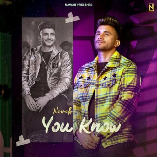 You Know Nawab mp3 song free download, You Know Nawab full album