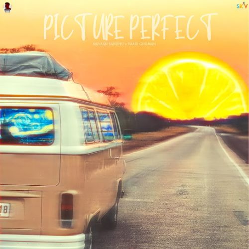 Picture Perfect Navaan Sandhu mp3 song free download, Picture Perfect Navaan Sandhu full album