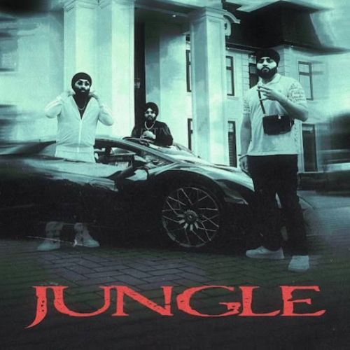 Jungle Inderpal Moga, Chani Nattan mp3 song free download, Jungle Inderpal Moga, Chani Nattan full album