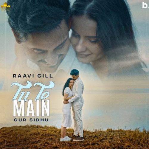 Tu Te Main Raavi Gill mp3 song free download, Tu Te Main Raavi Gill full album